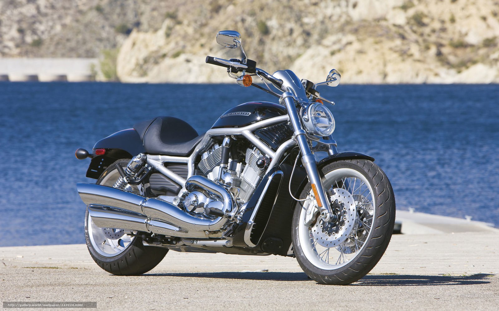 Harley-Davidson motorcycle by water