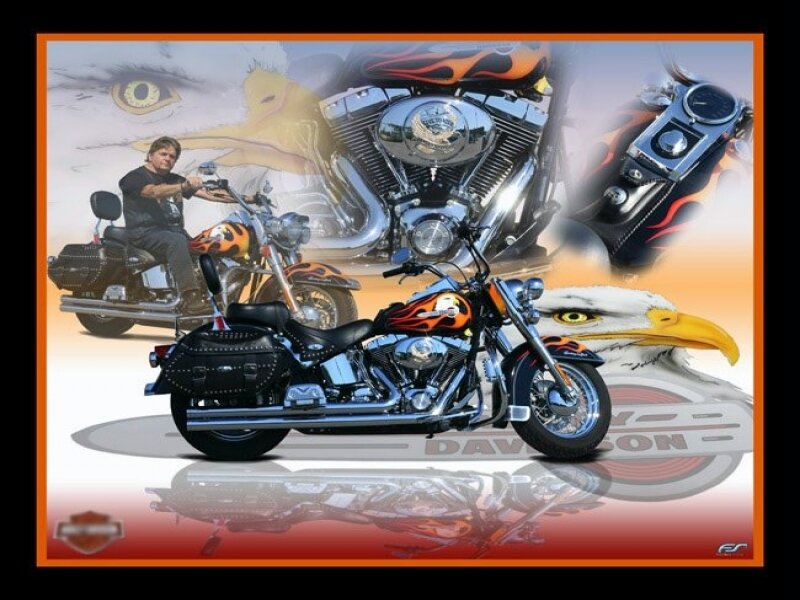 Harley-Davidson motorcycle collage
