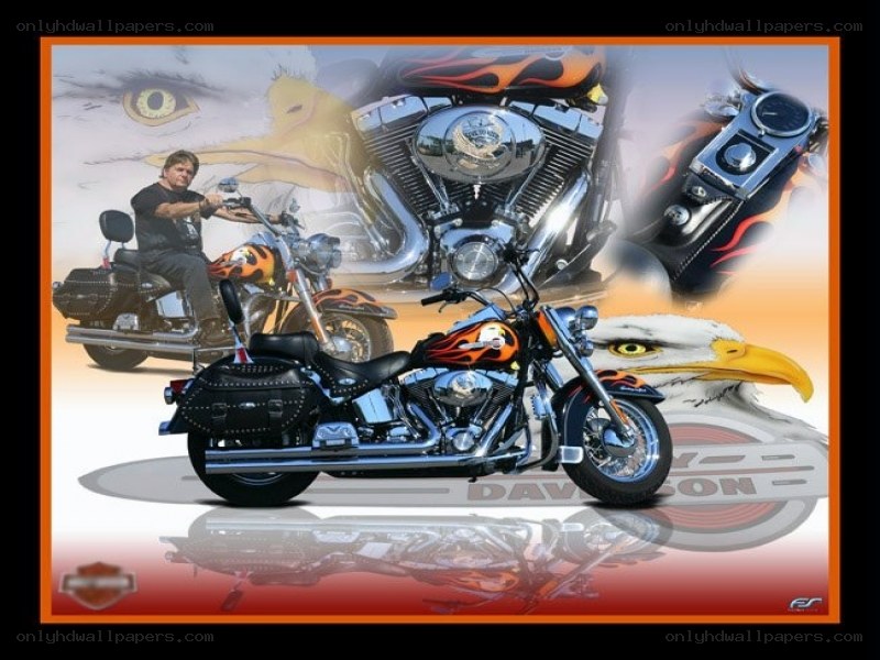 Harley-Davidson motorcycle collage