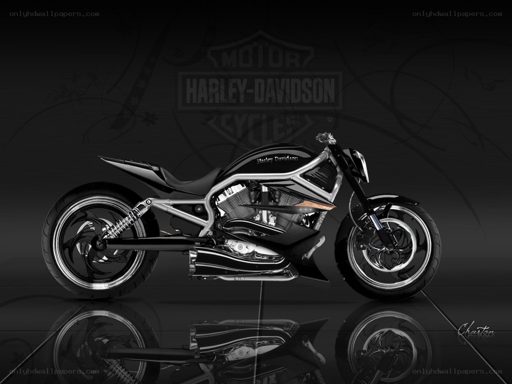 Harley-Davidson motorcycle design