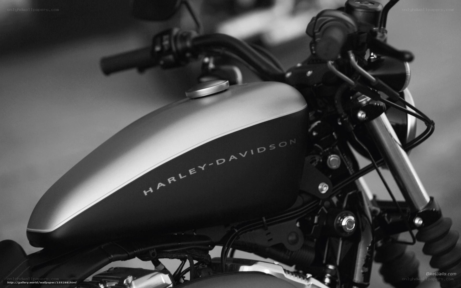 Harley-Davidson motorcycle fuel tank
