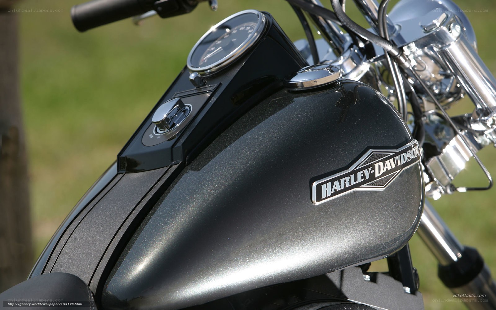 Harley-Davidson motorcycle fuel tank