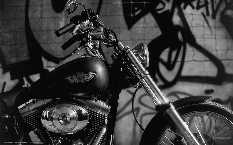 Harley-Davidson motorcycle in black and white