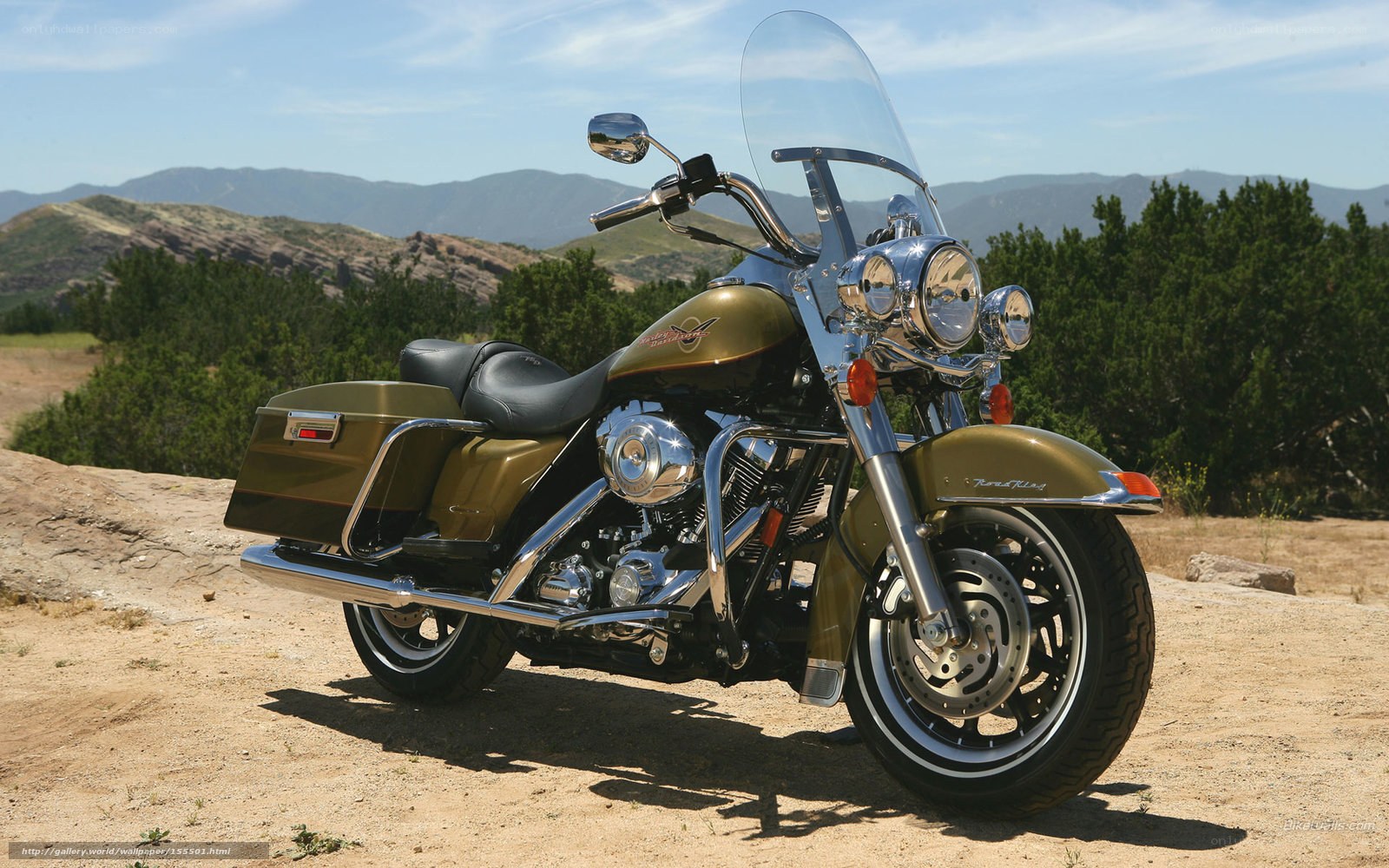 Harley-Davidson motorcycle in desert