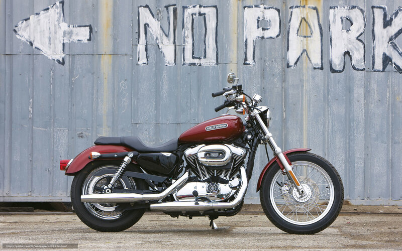 Harley-Davidson motorcycle in front of wall