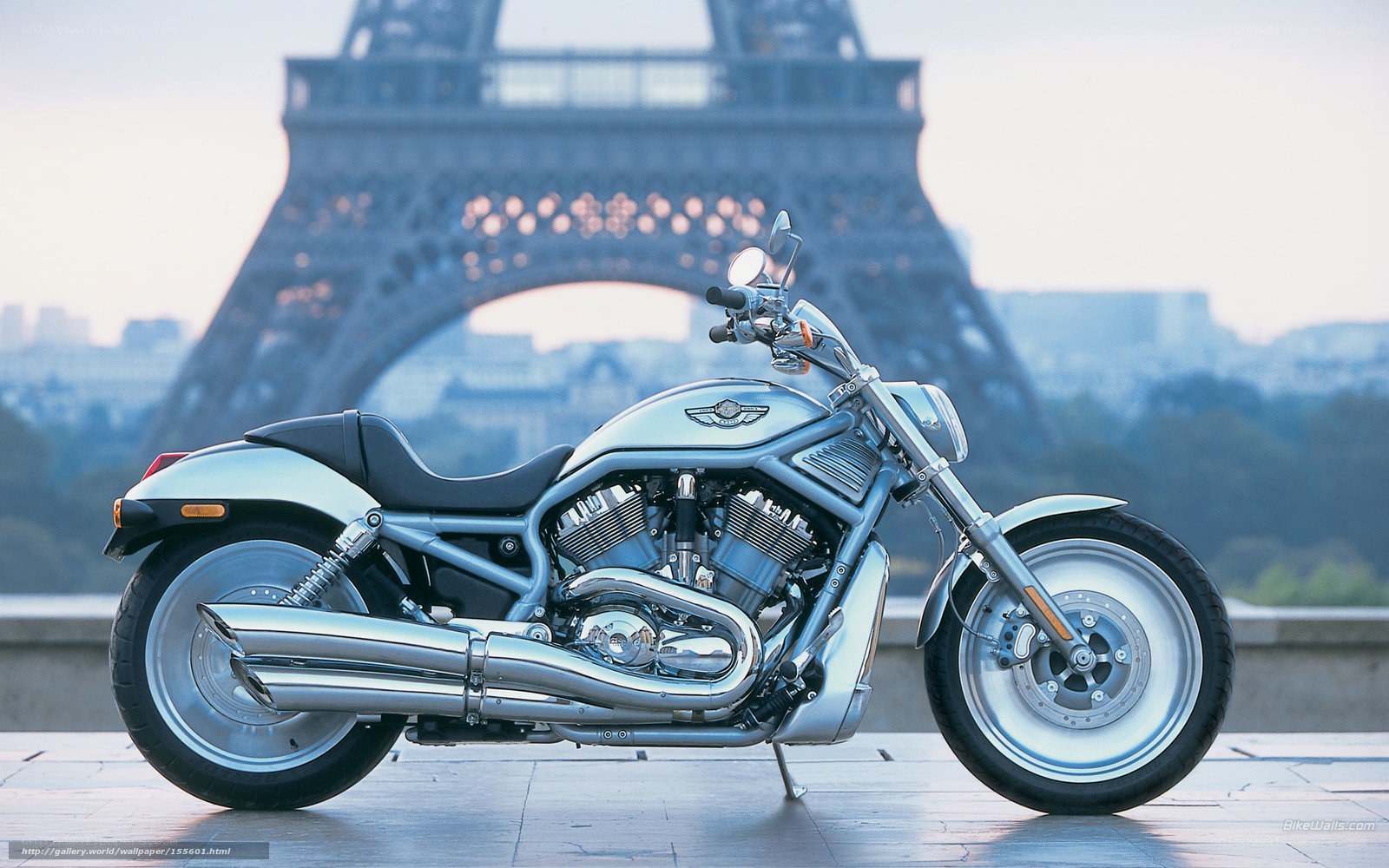 Harley-Davidson motorcycle in Paris