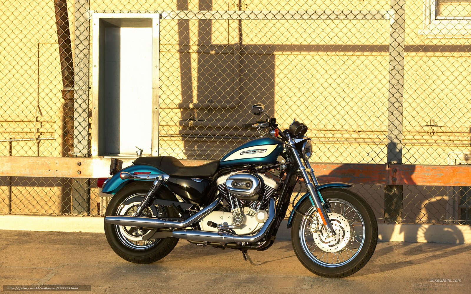 Harley-Davidson motorcycle in sunlight
