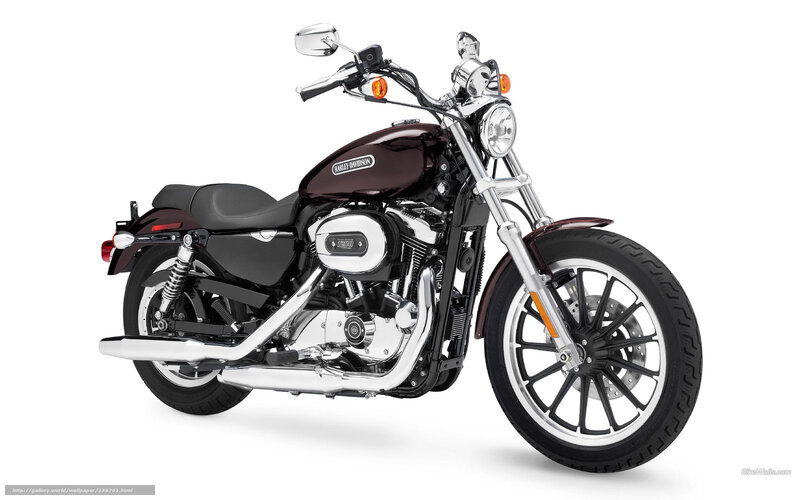 Harley-Davidson Motorcycle — Maroon, Neutral, Photograph, Chrome Exhaust