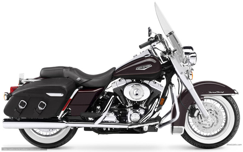 Harley-Davidson Motorcycle — Maroon, Neutral, Photograph