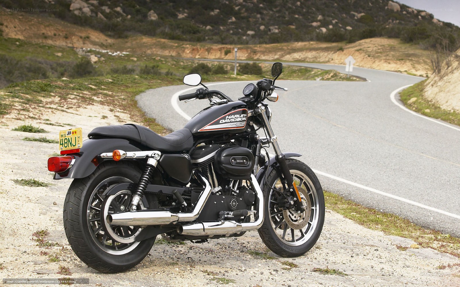 Harley-Davidson motorcycle on road