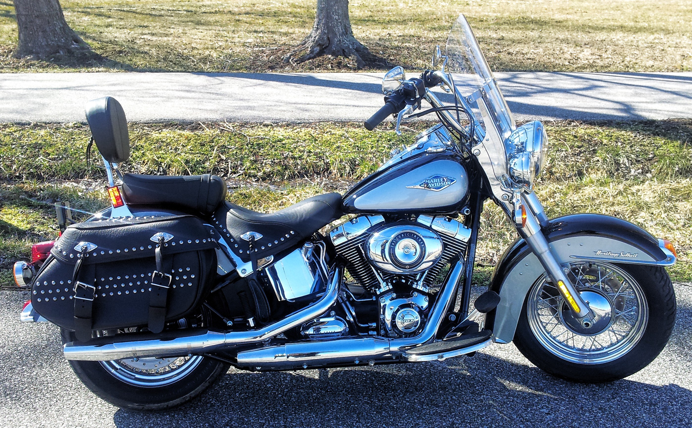 Harley-Davidson motorcycle on road