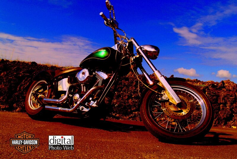 Harley-Davidson motorcycle on road
