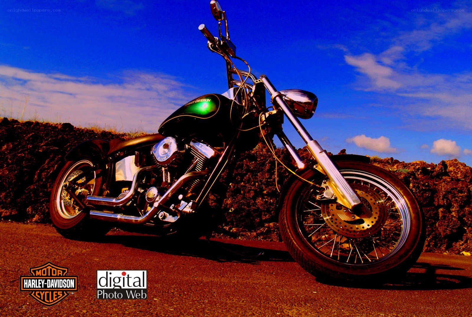 Harley-Davidson motorcycle on road