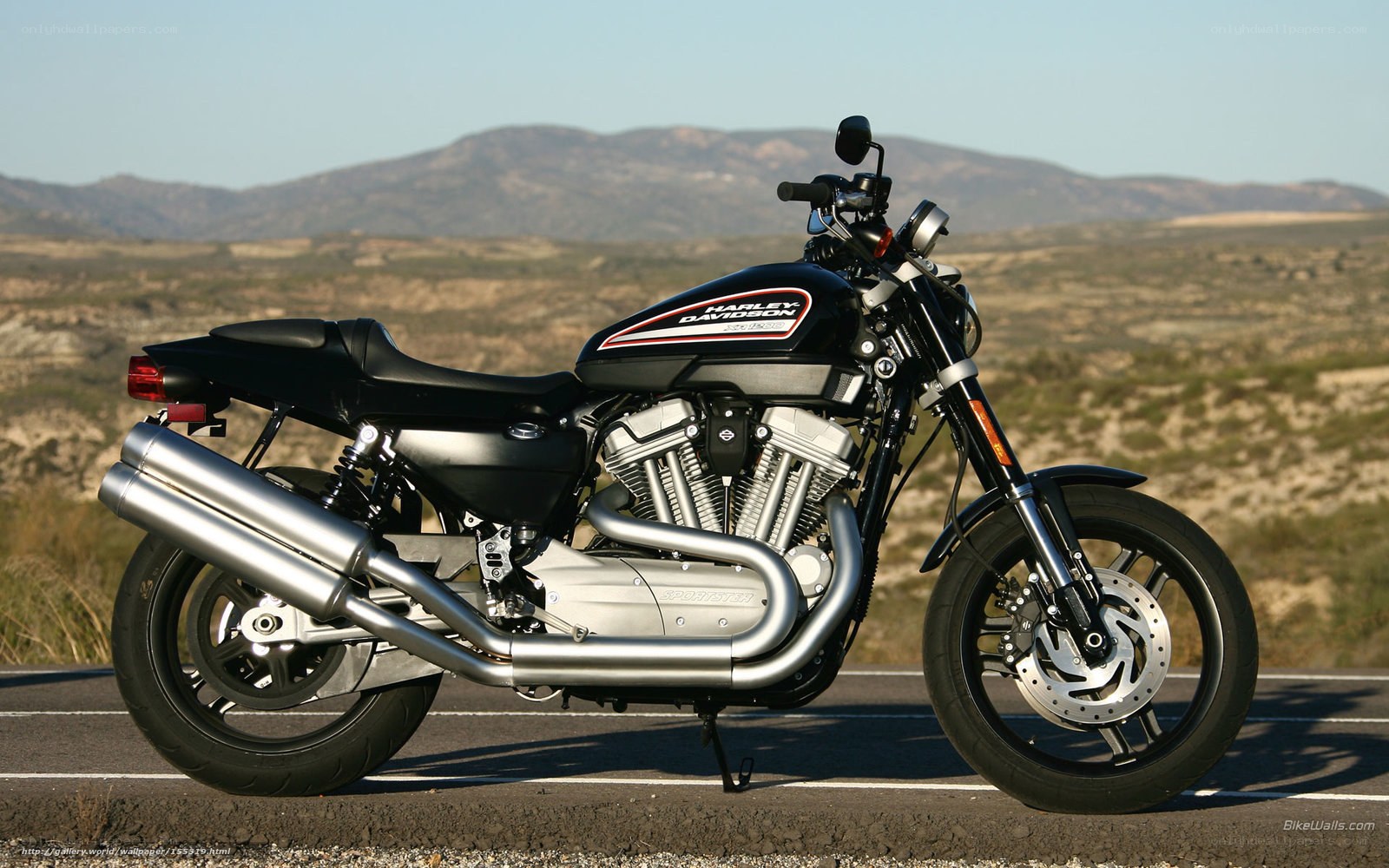 Harley-Davidson motorcycle on road