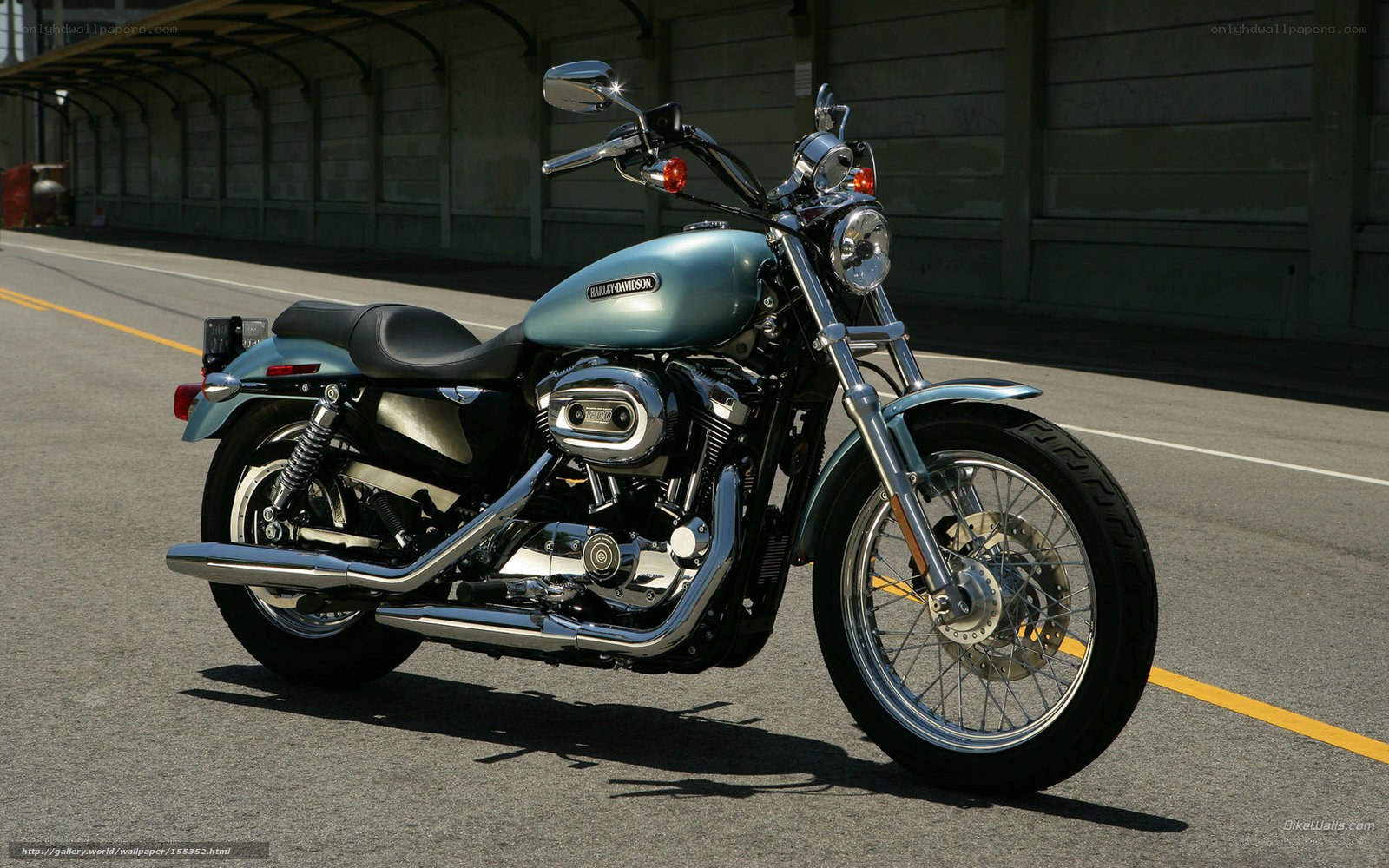 Harley-Davidson motorcycle on street