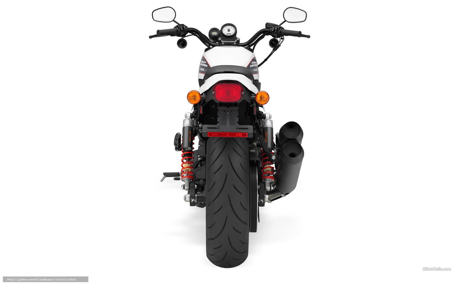 Harley-Davidson motorcycle rear view
