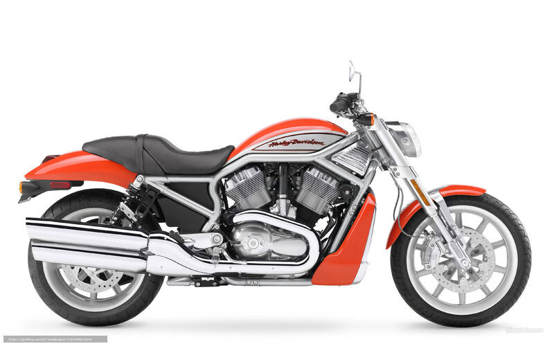 Harley-Davidson Motorcycle — Red, Neutral, Photograph, Seat