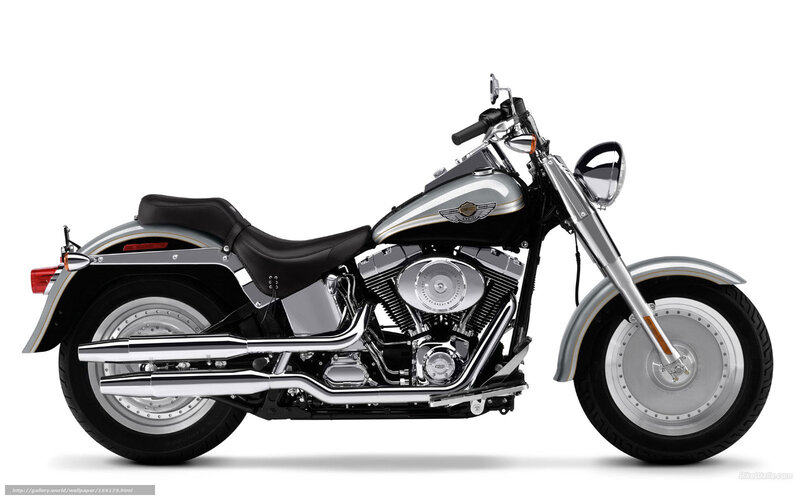 Harley-Davidson motorcycle side view
