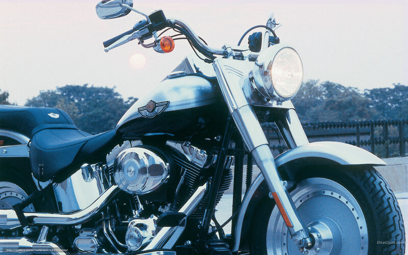 Harley-Davidson Motorcycle — Silver, Calm