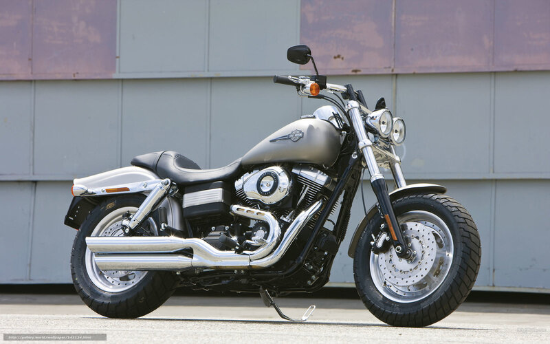 Harley-Davidson Motorcycle — Silver, Neutral, Afternoon