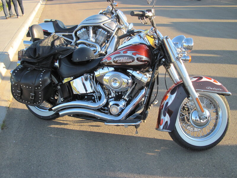 Harley-Davidson Motorcycles — Black