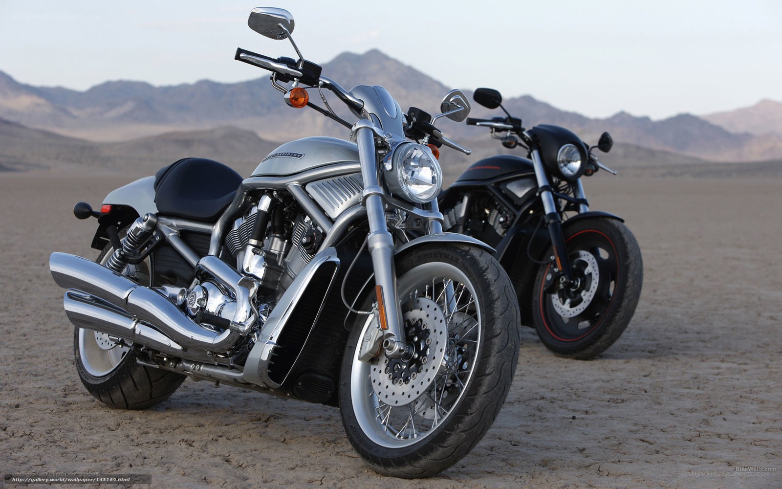 Harley-Davidson motorcycles in desert
