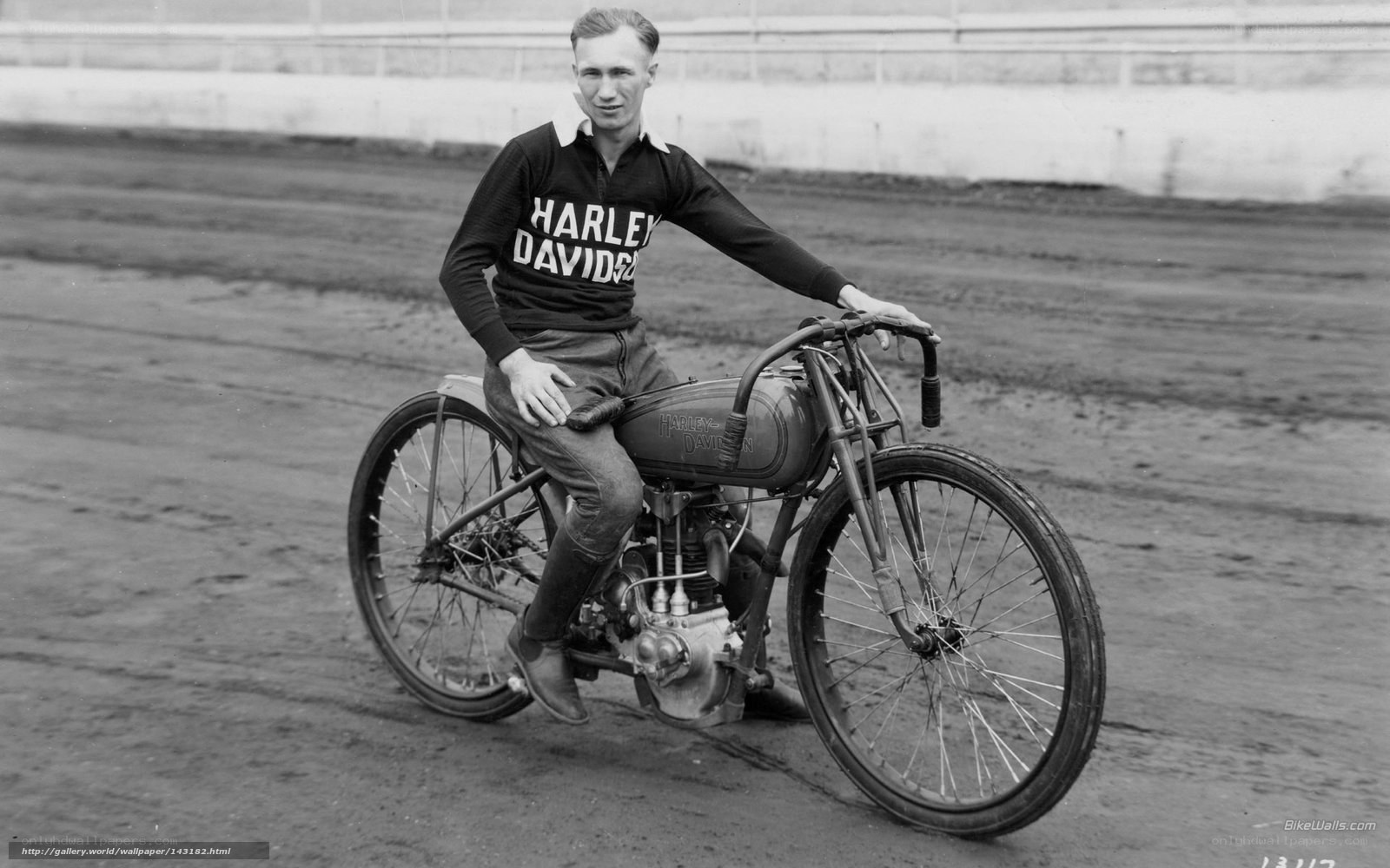 Harley-Davidson racer on track