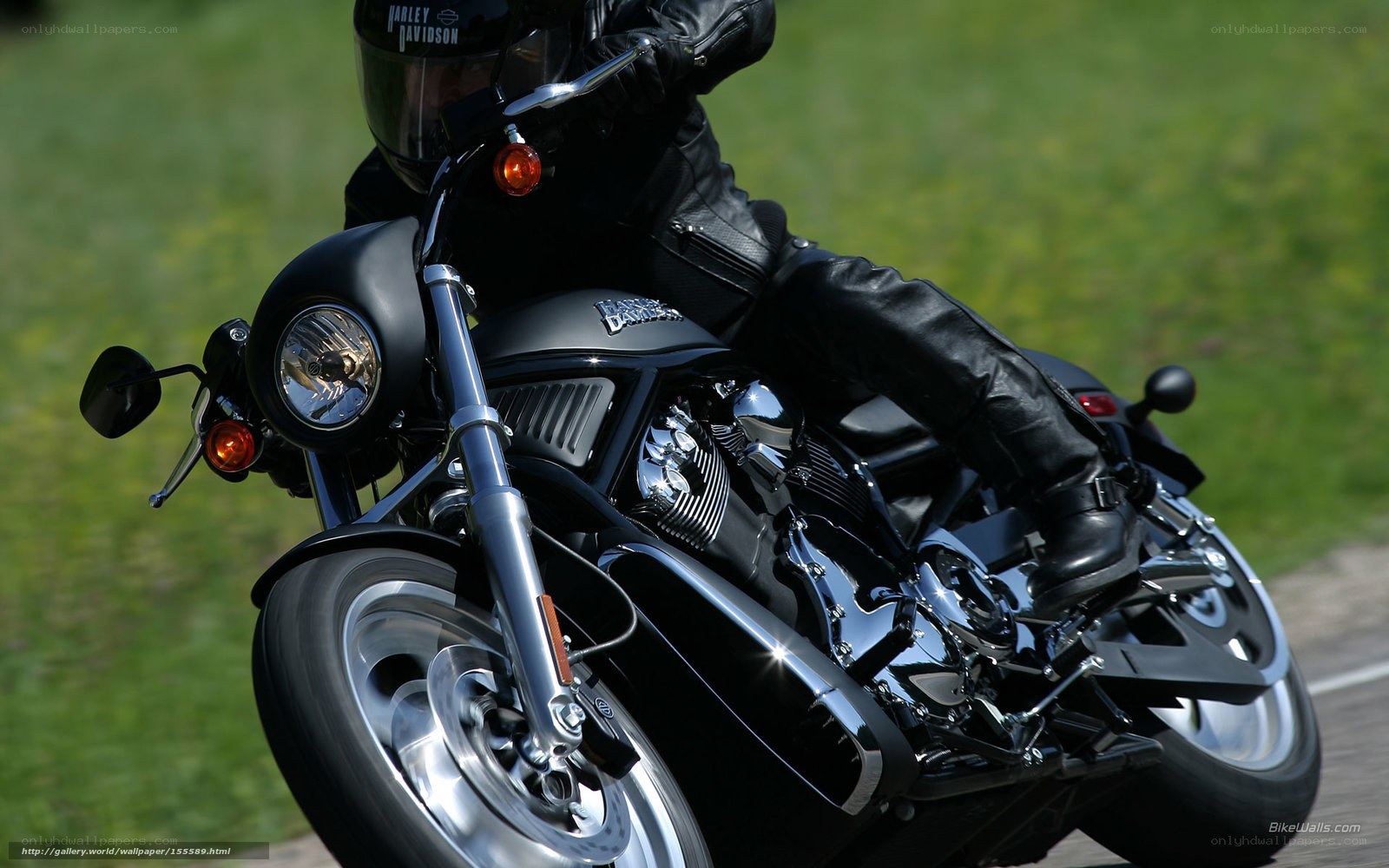 Harley-Davidson rider on the road