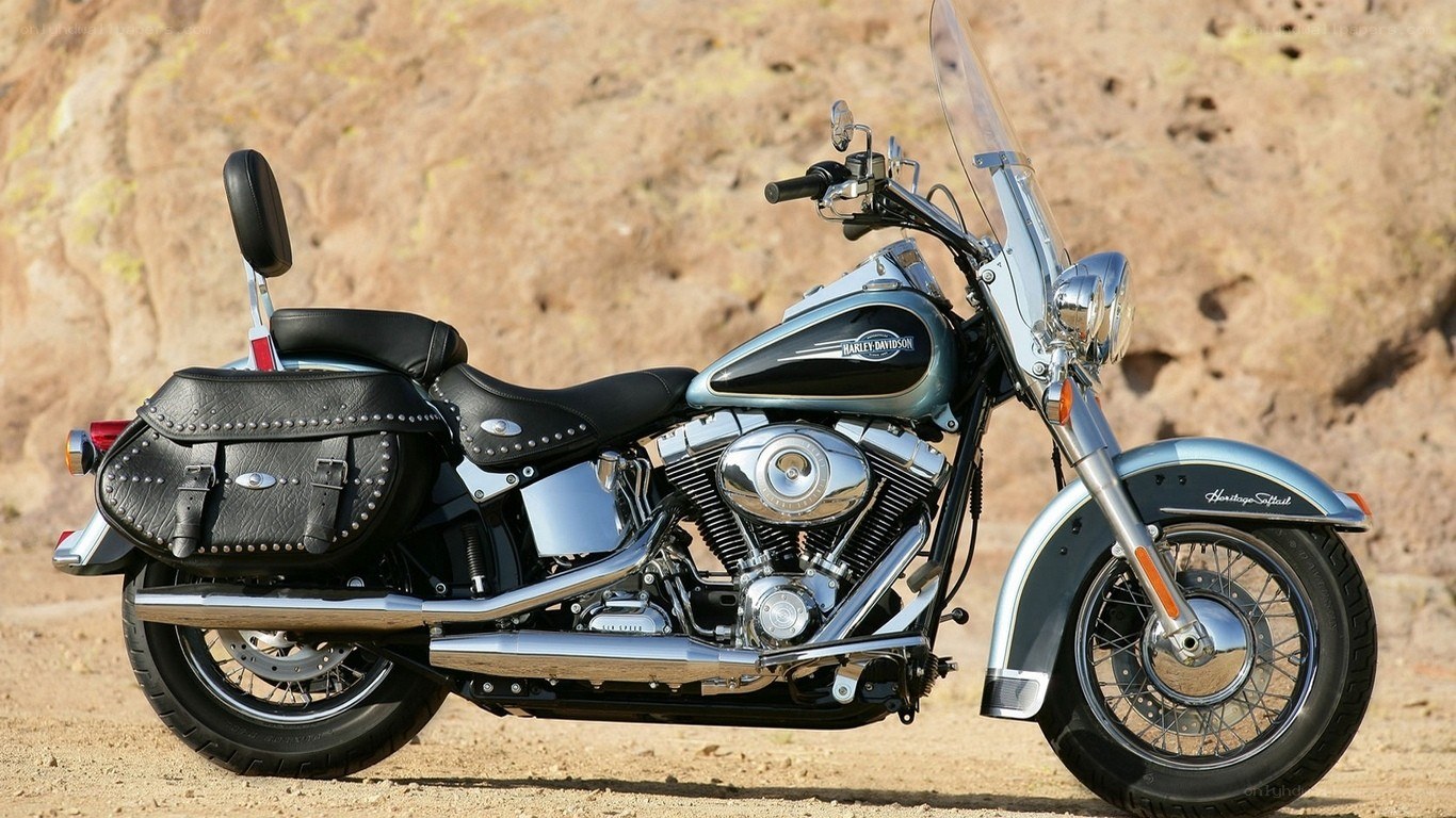 Harley-Davidson Softail motorcycle