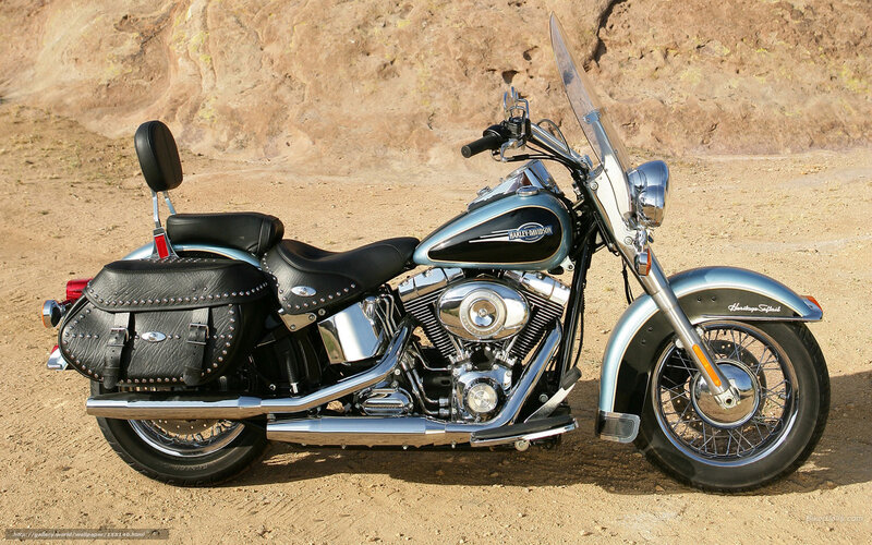 Harley-Davidson Softail motorcycle