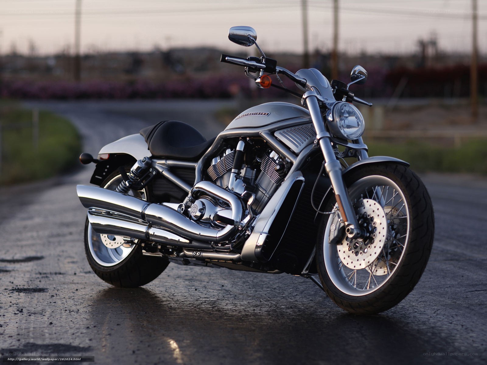 Harley-Davidson V-Rod motorcycle