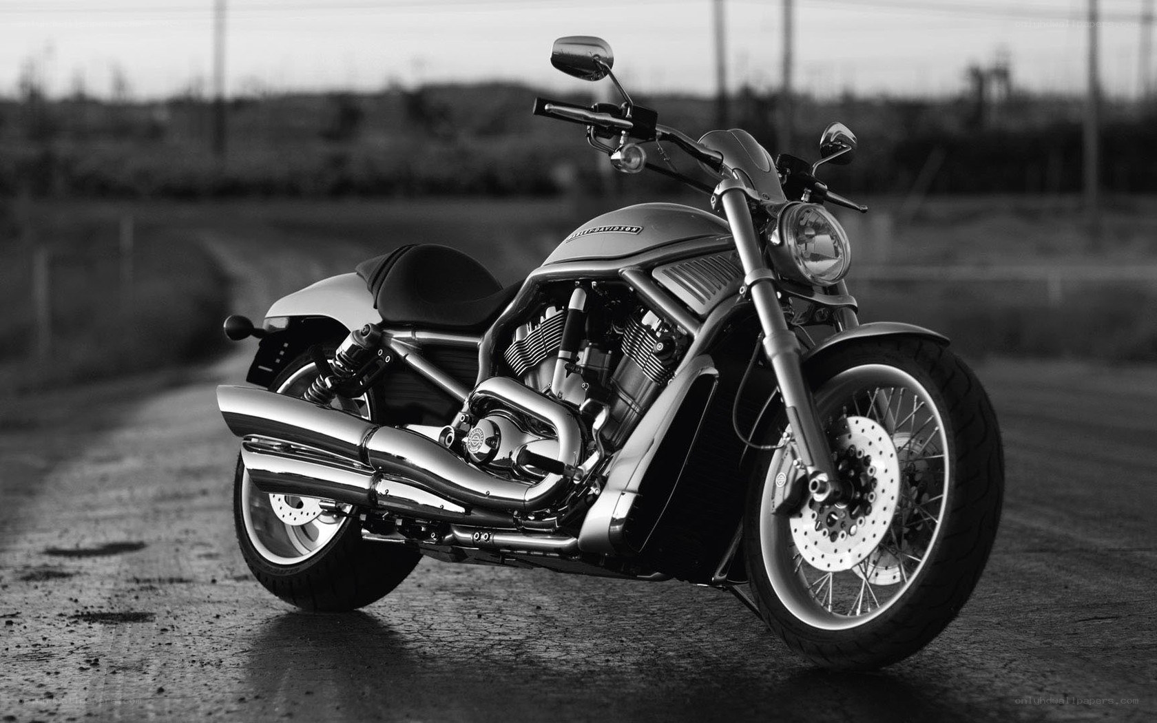 Harley-Davidson V-Rod motorcycle