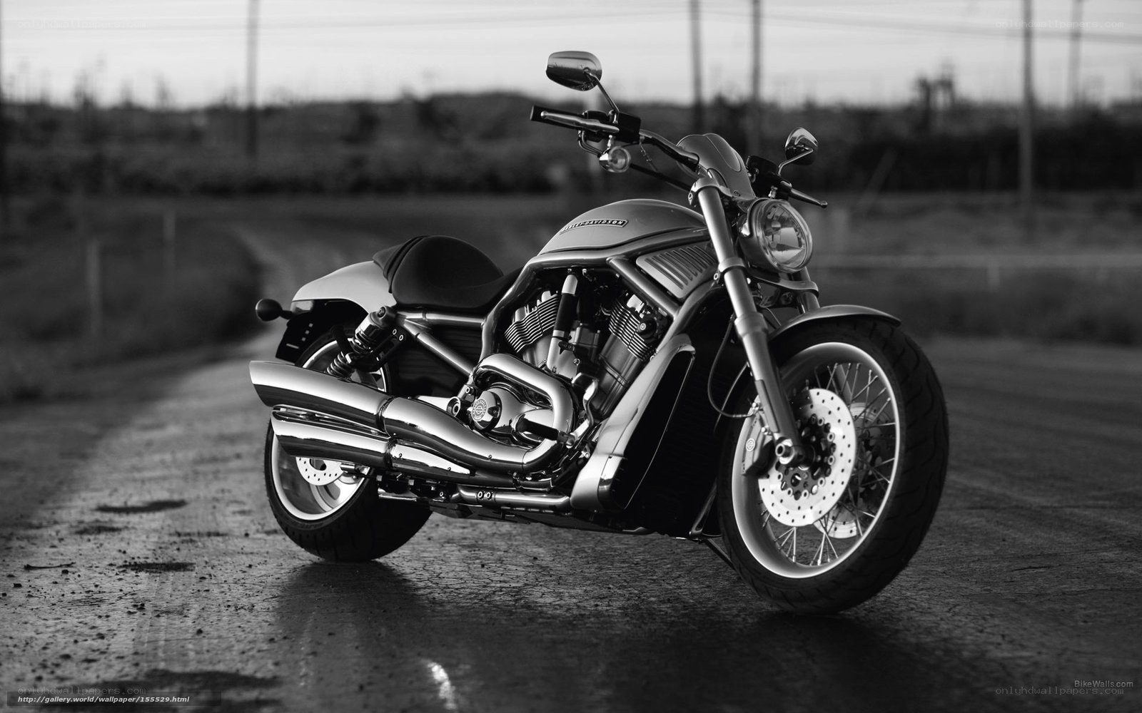 Harley-Davidson V-Rod motorcycle
