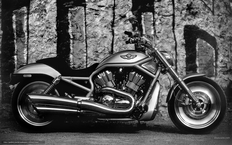 Harley-Davidson V-Rod Motorcycle — Black, Dramatic