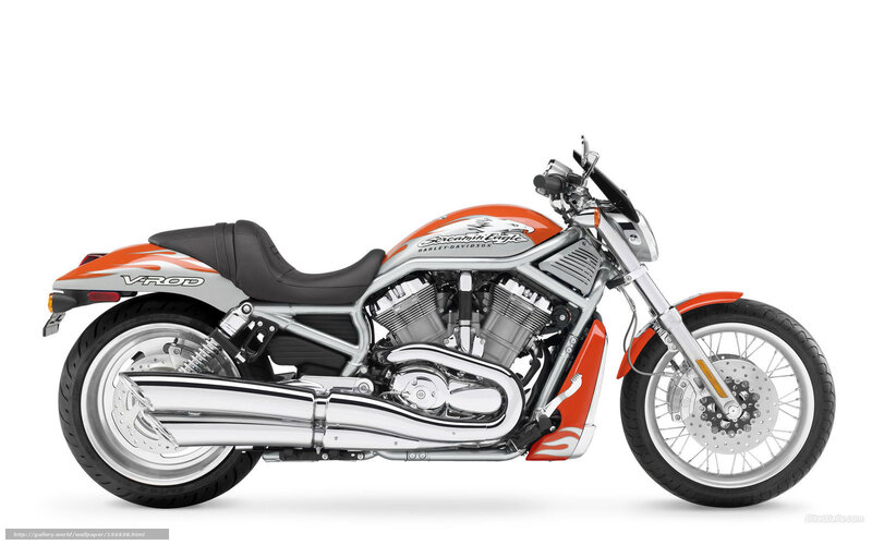 Harley-Davidson V-Rod Motorcycle — Orange