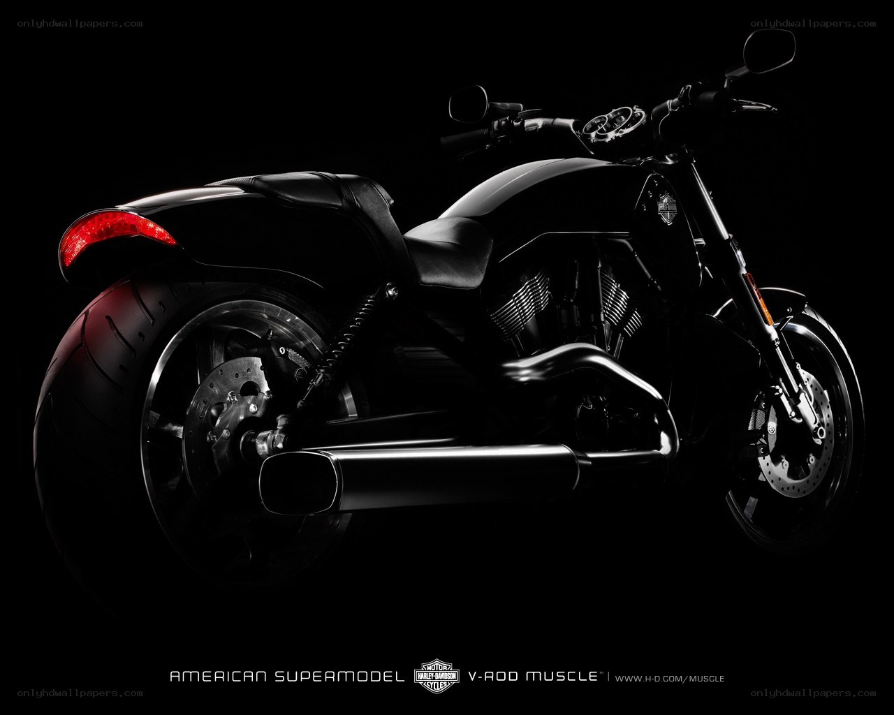 Harley-Davidson V-Rod Muscle