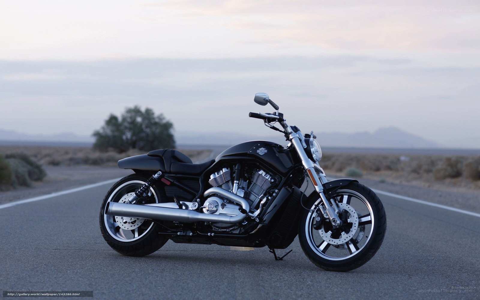 Harley-Davidson V-Rod on desert road