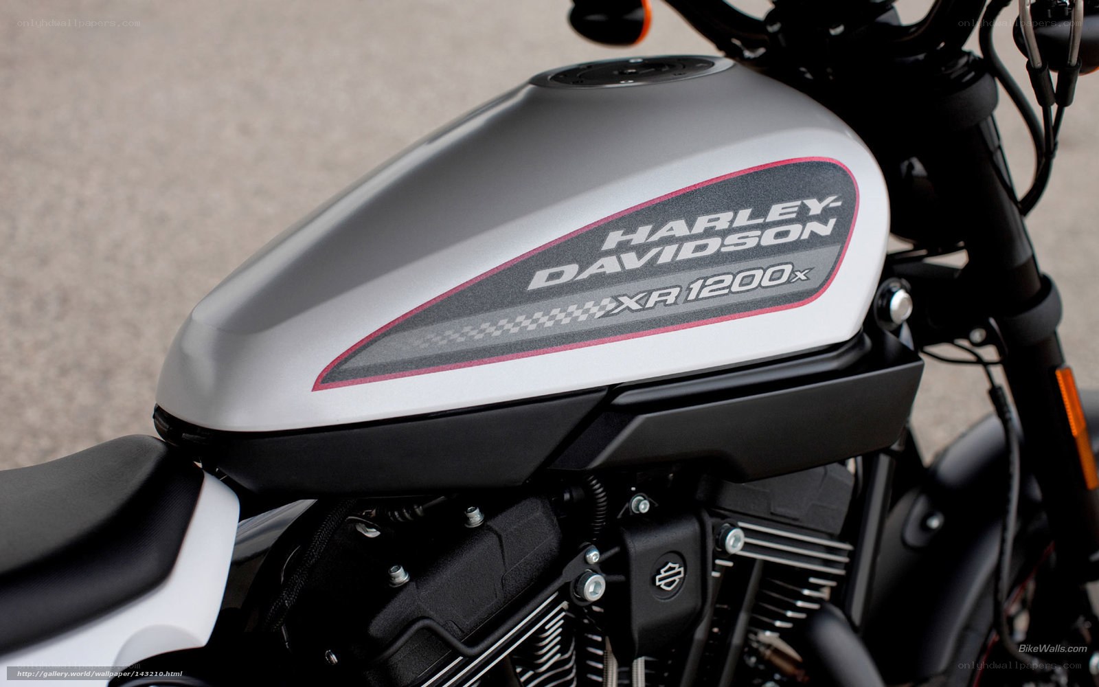 Harley-Davidson XR 1200x fuel tank