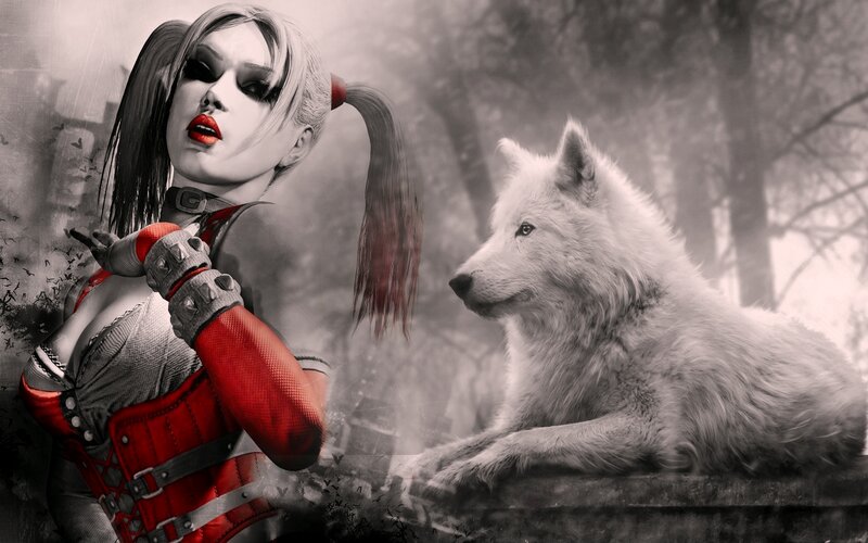 Harley Quinn with Wolf