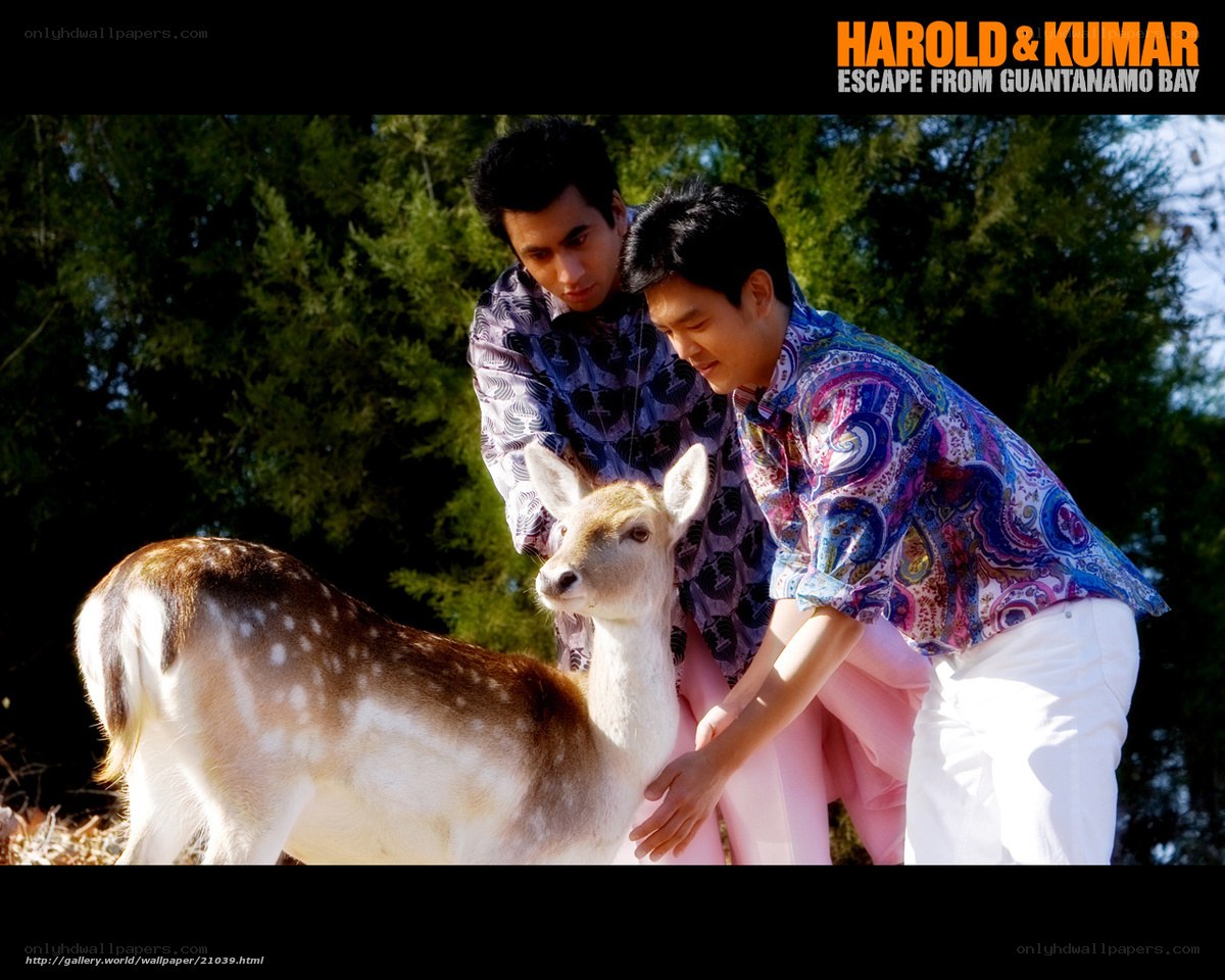 Harold and Kumar with a deer