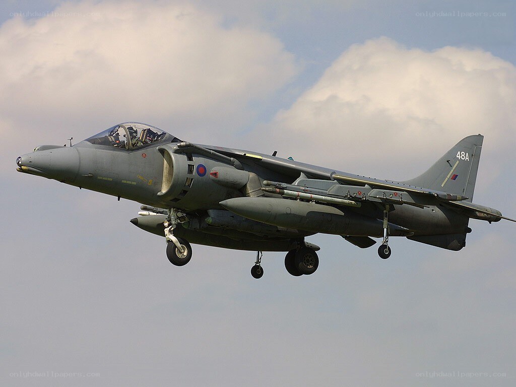 Harrier jet in flight