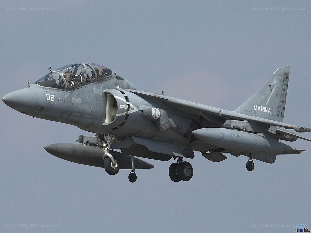 Harrier jet in flight