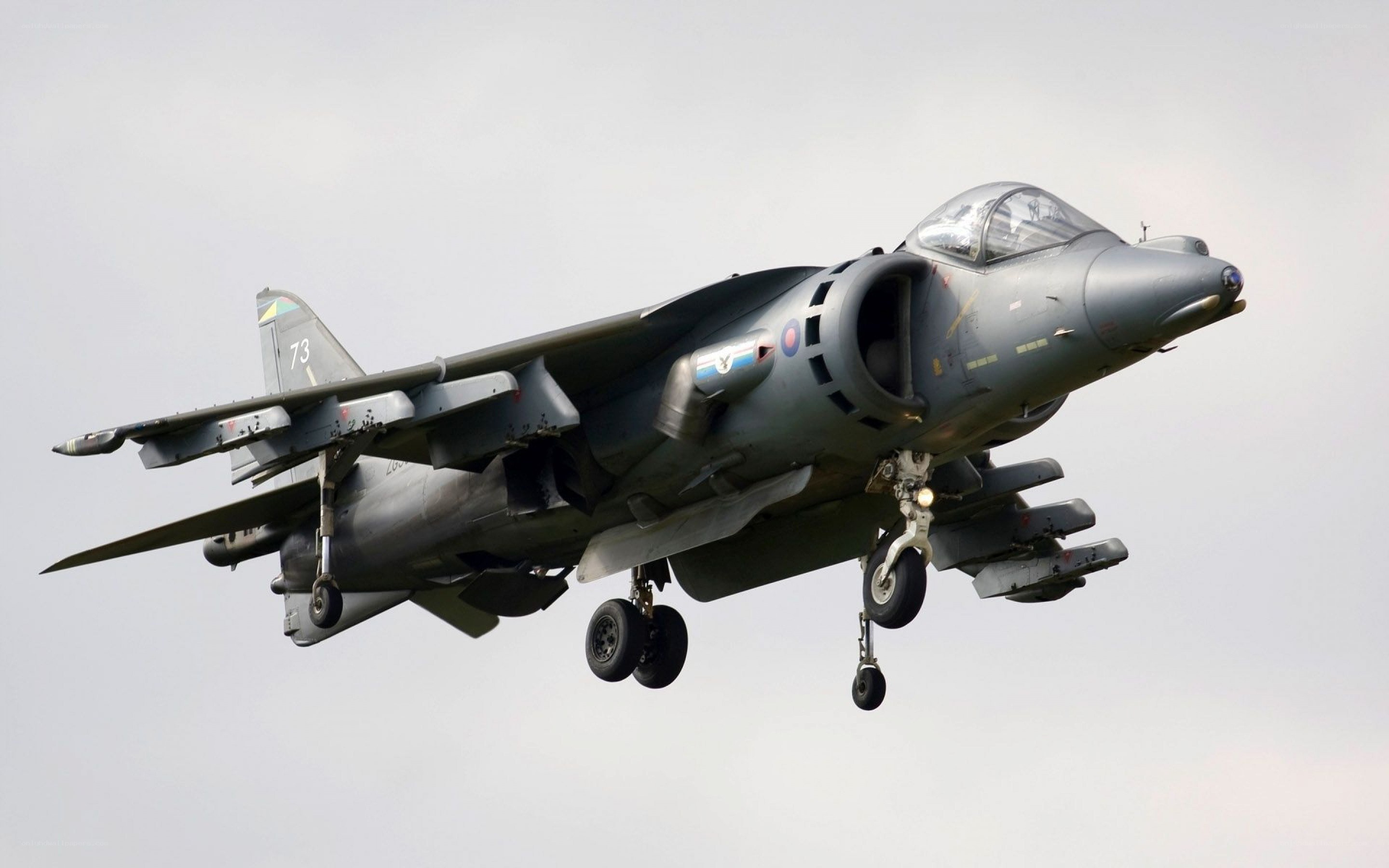 Harrier jet in flight