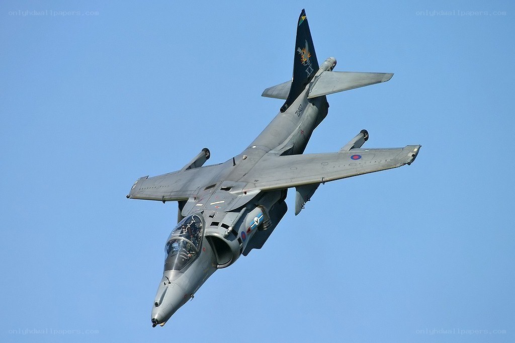 Harrier jet in flight