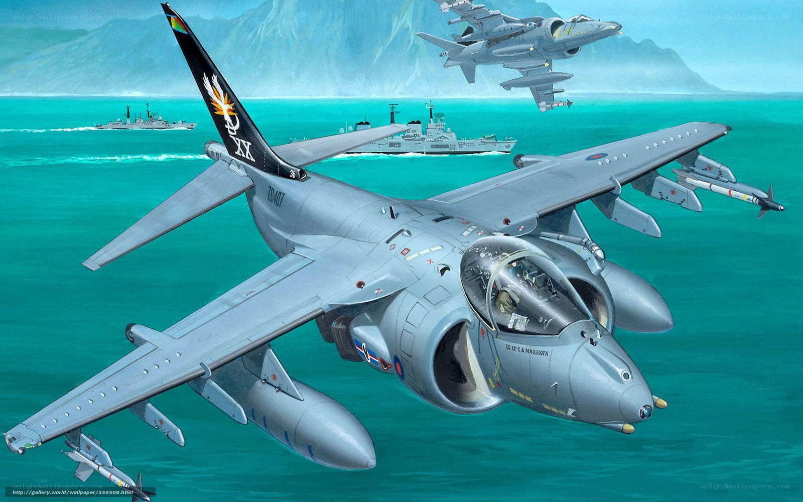 Harrier jet over naval fleet