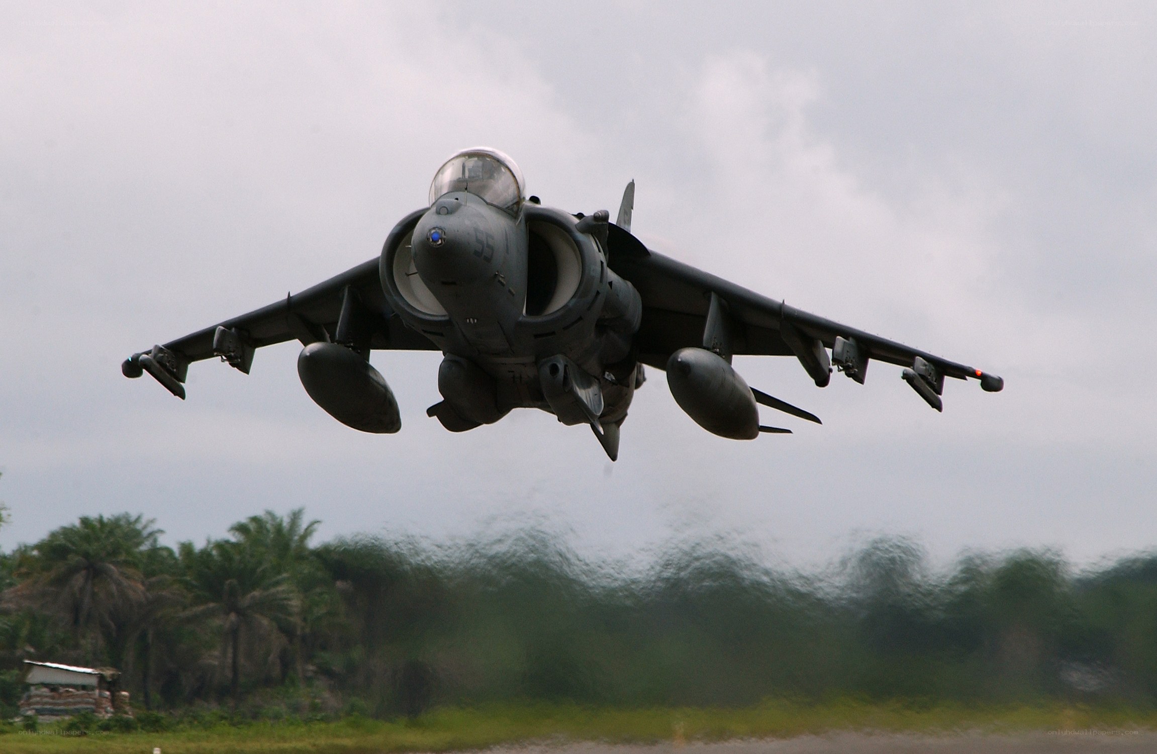 Harrier jet taking off
