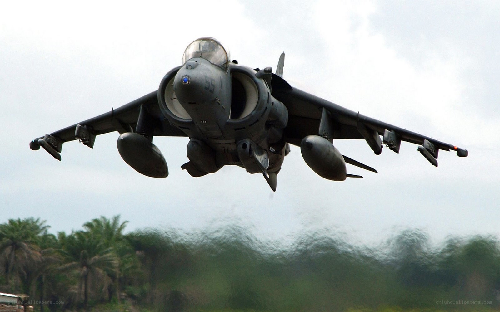 Harrier jet taking off