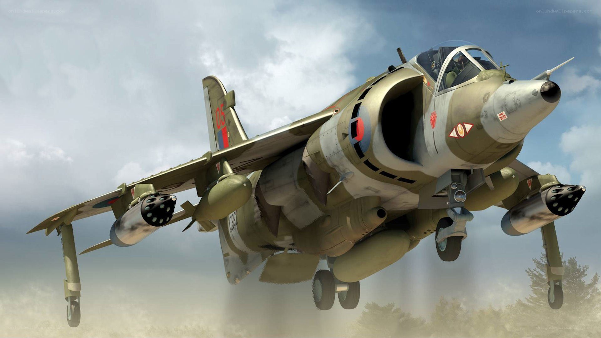 Harrier jump jet in flight