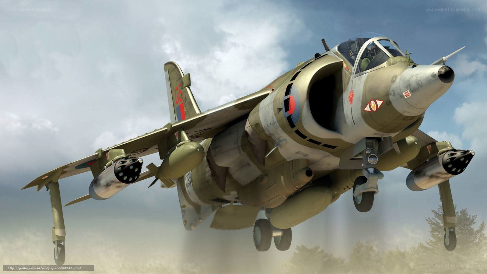 Harrier jump jet in flight