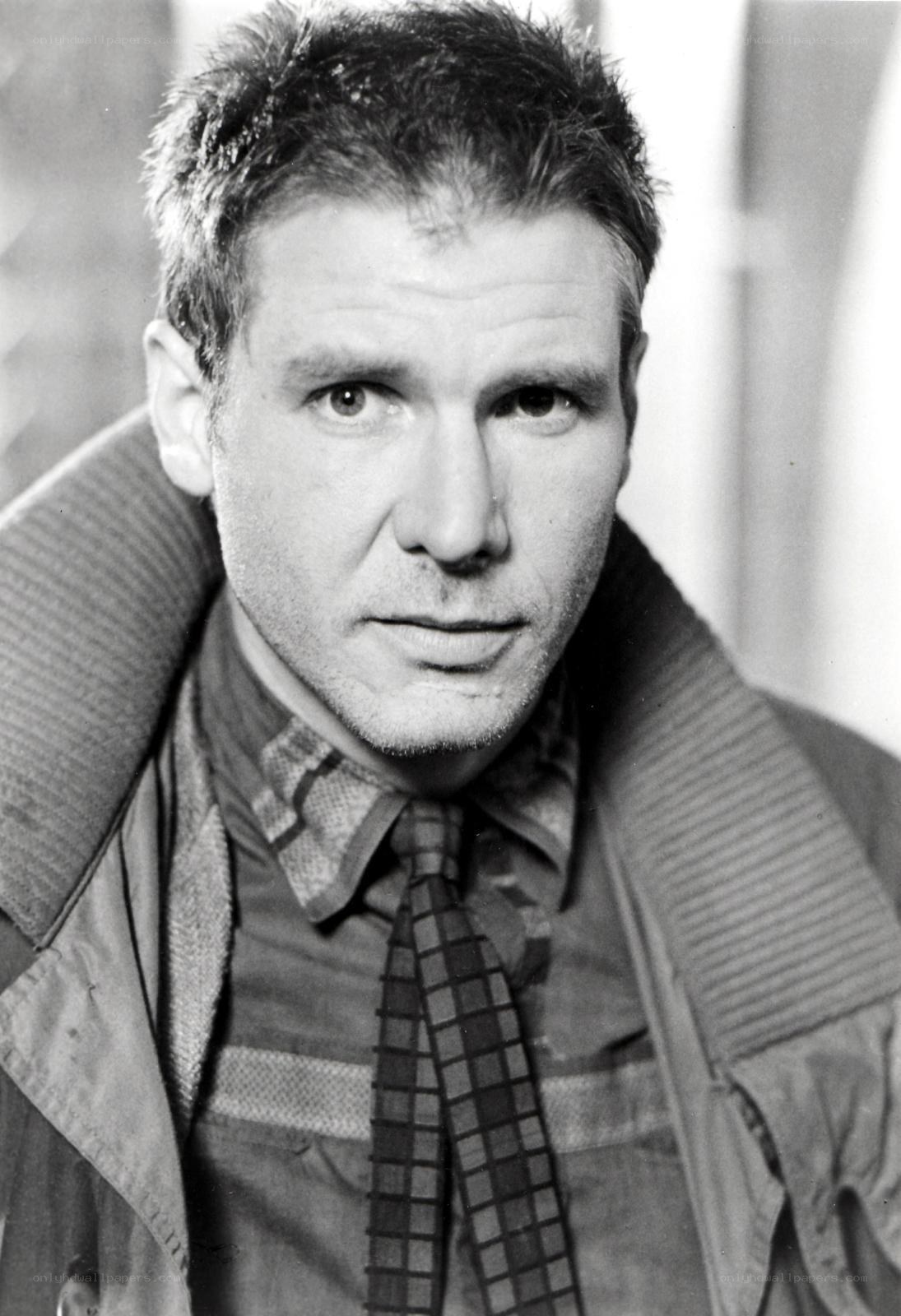 Harrison Ford portrait
